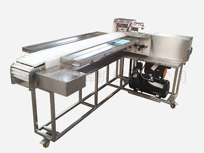 連續自動(dong)型穿串機(jī)