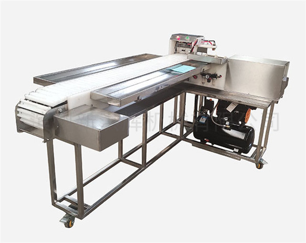 “新洪輝”切(qiē)片機曆經多次改(gai)進